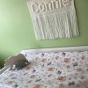 Woodland animals anti roll changing mat