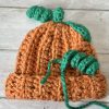 Pumpkin Beanie Hat