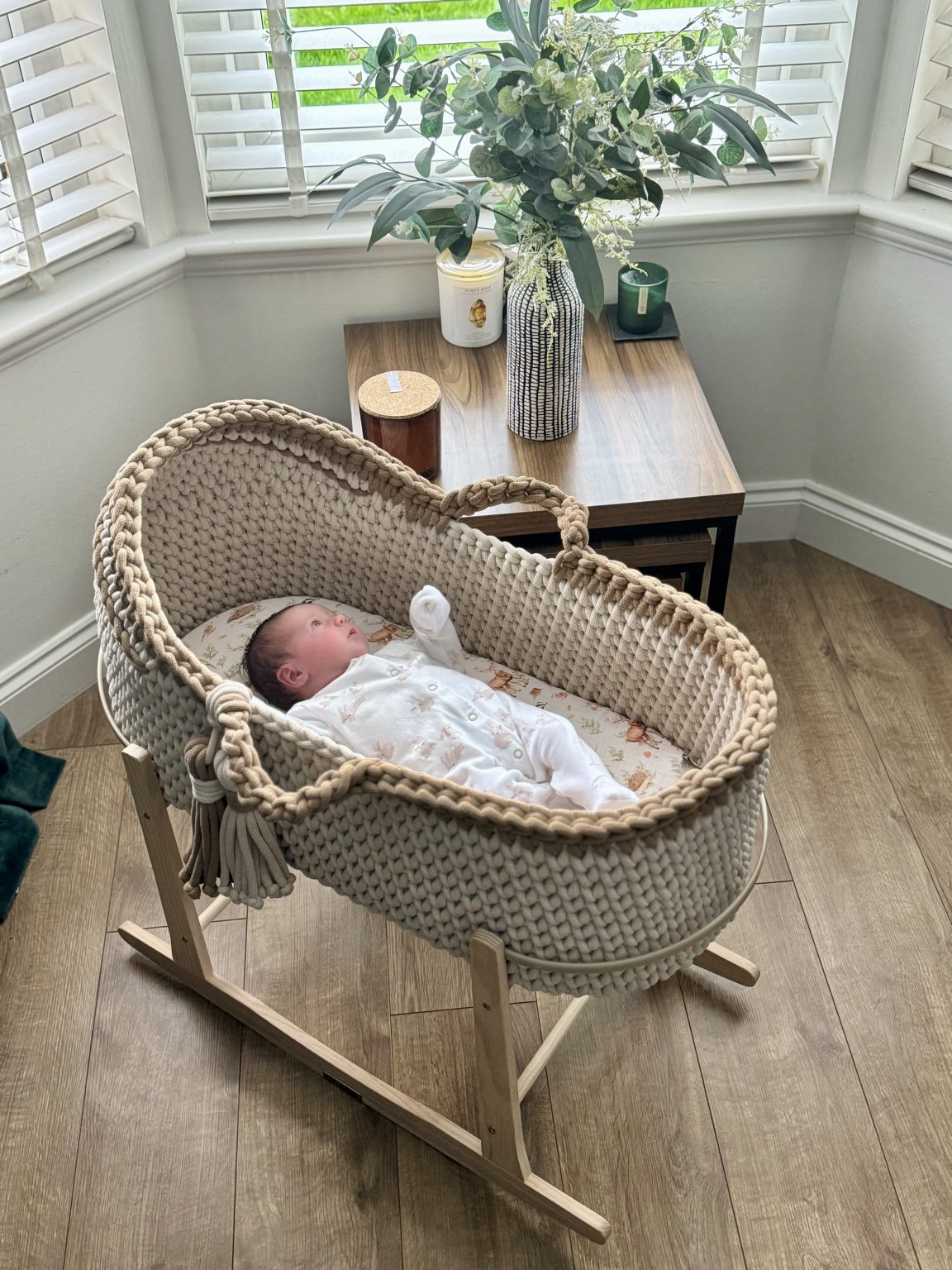 hooded crochet moses basket