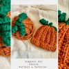 Pumpkin Beanie Hats logo