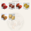 Colour Chart for hooded crochet moses basket
